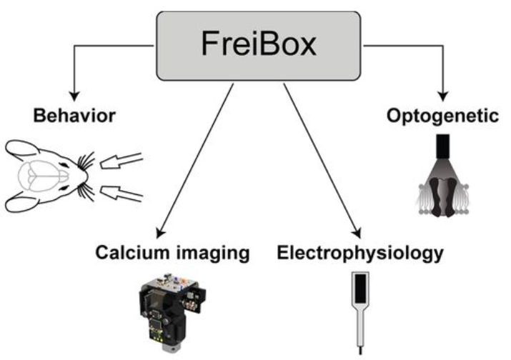 freibox.png